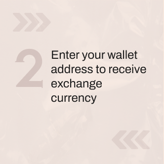 Enter your wallet address to receive exchange currency